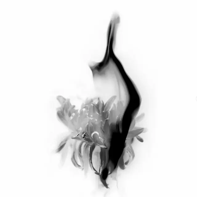 プロフィール写真